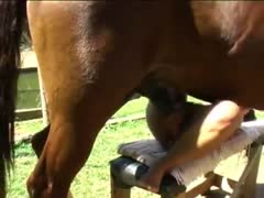 Premium outdoor ardcore zoophilia with a nude amateur slut during hot weather